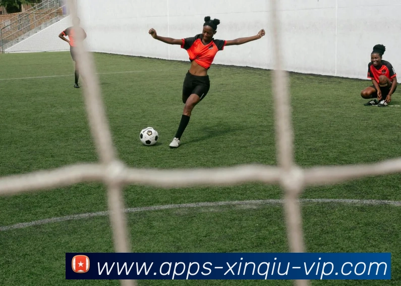 新球体育平台生态图