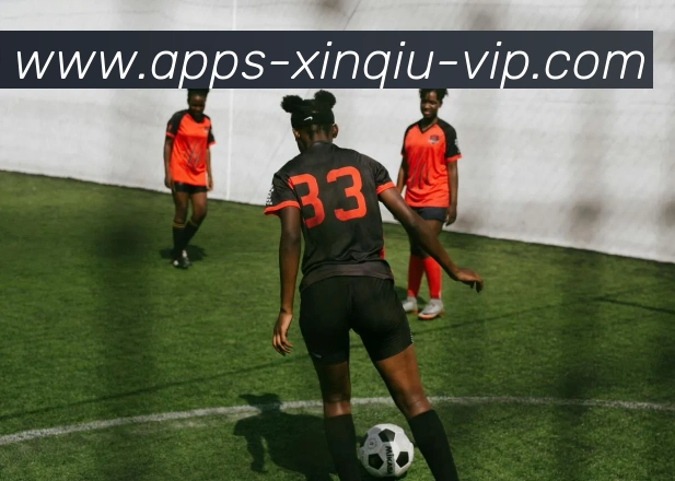 新球体育APP 封面图