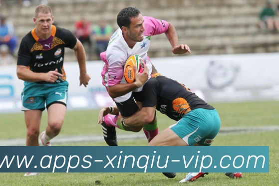 数据防护可视化